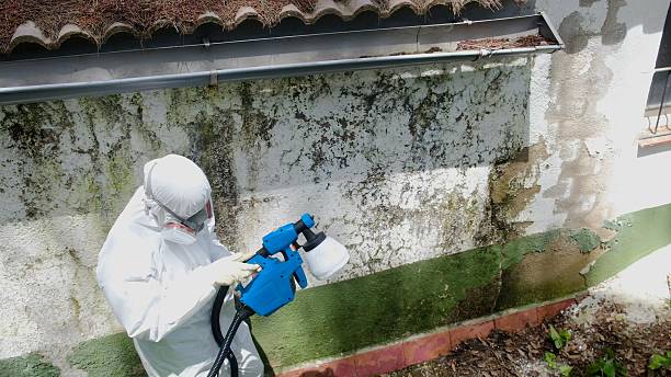 Trusted Commercial Mold Remediation service in Margarettsville, NC - Cheap Mold Removal